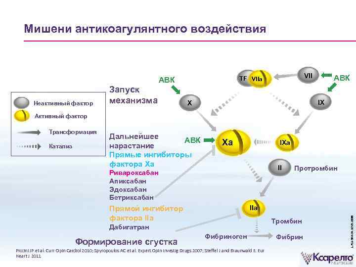 Запустите механизм. Ривароксабан механизм действия. Ривароксабан механизм действия фармакология. Механизм действия ривароксабана схема. Ривароксабан ингибитор фактора xa.