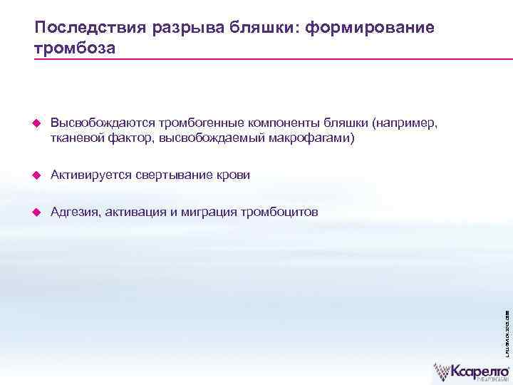 Последствия разрыва бляшки: формирование тромбоза Высвобождаются тромбогенные компоненты бляшки (например, тканевой фактор, высвобождаемый макрофагами)