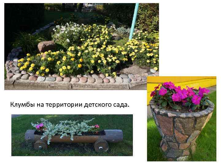 Клумбы на территории детского сада. 