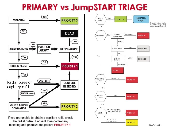 PRIMARY vs Jump. START TRIAGE Radial pulse or capillary refill 