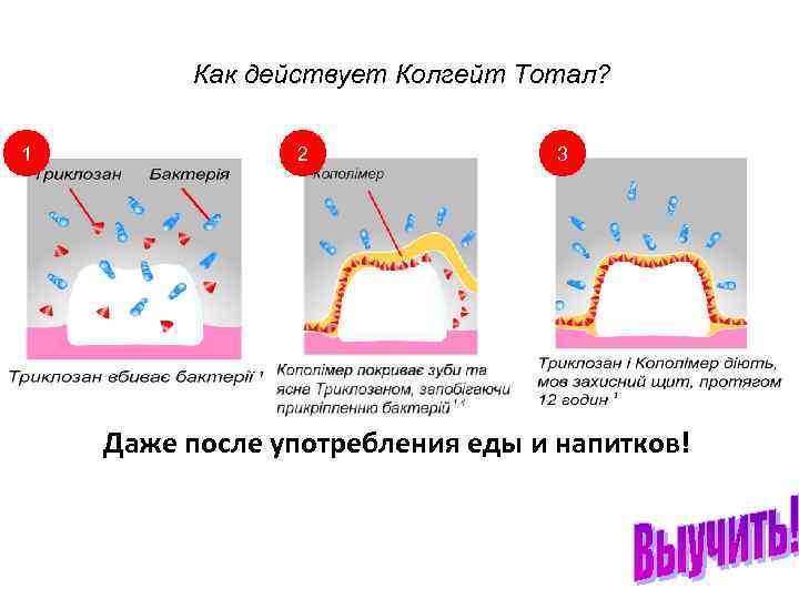 Как действует Колгейт Тотал? 1 2 3 Даже после употребления еды и напитков! 