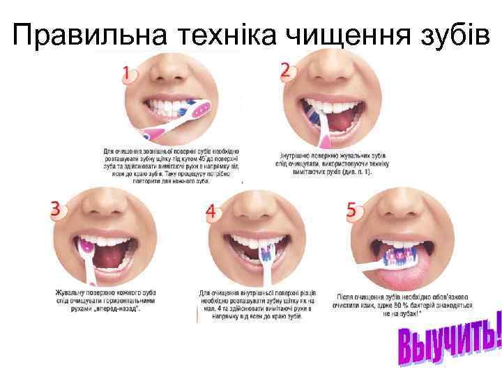 Правильна техніка чищення зубів 
