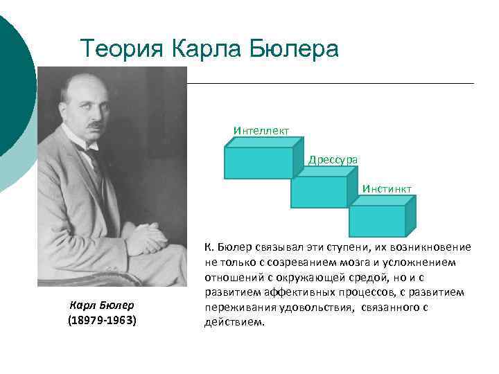 Теория Карла Бюлера Интеллект Дрессура Инстинкт Карл Бюлер (18979 -1963) К. Бюлер связывал эти