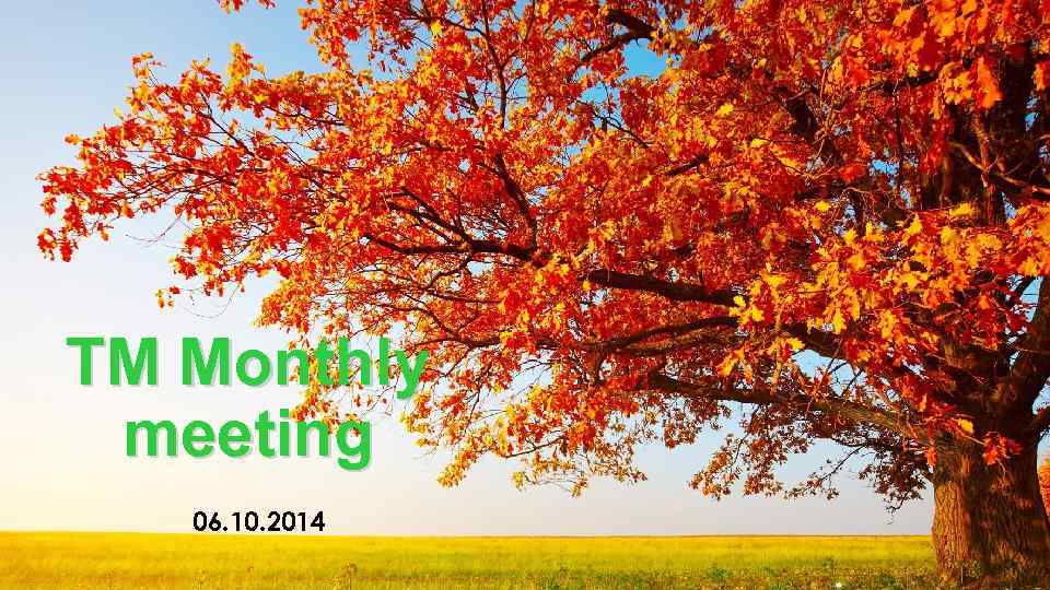 TM Monthly meeting 06. 10. 2014 