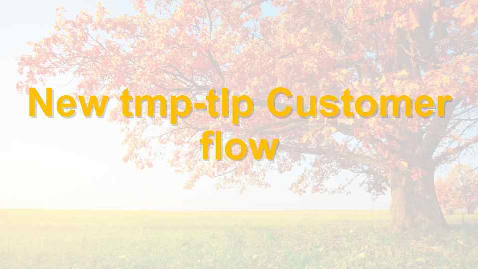 New tmp-tlp Customer flow 