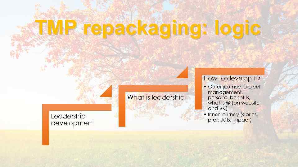 TMP repackaging: logic How to develop it? What is leadership Leadership development • Outer