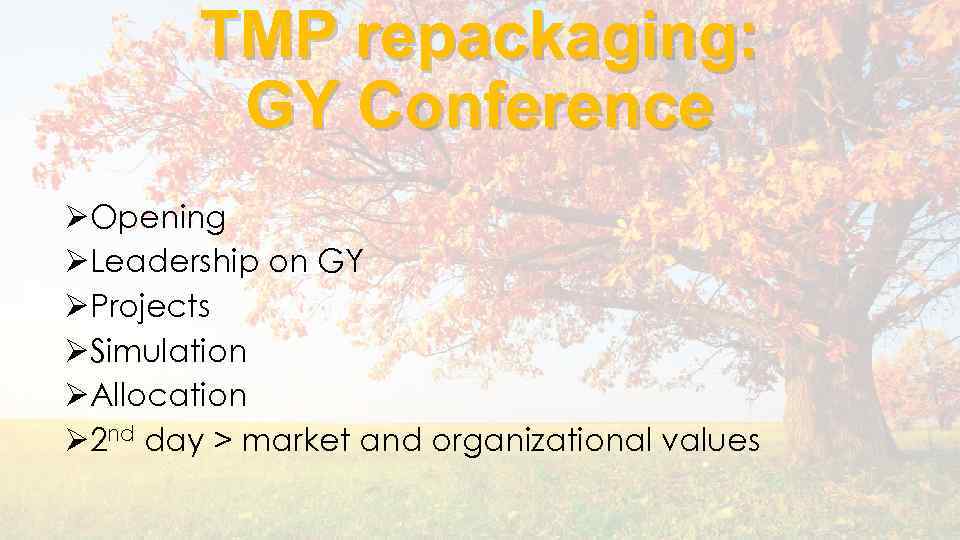 TMP repackaging: GY Conference ØOpening ØLeadership on GY ØProjects ØSimulation ØAllocation Ø 2 nd