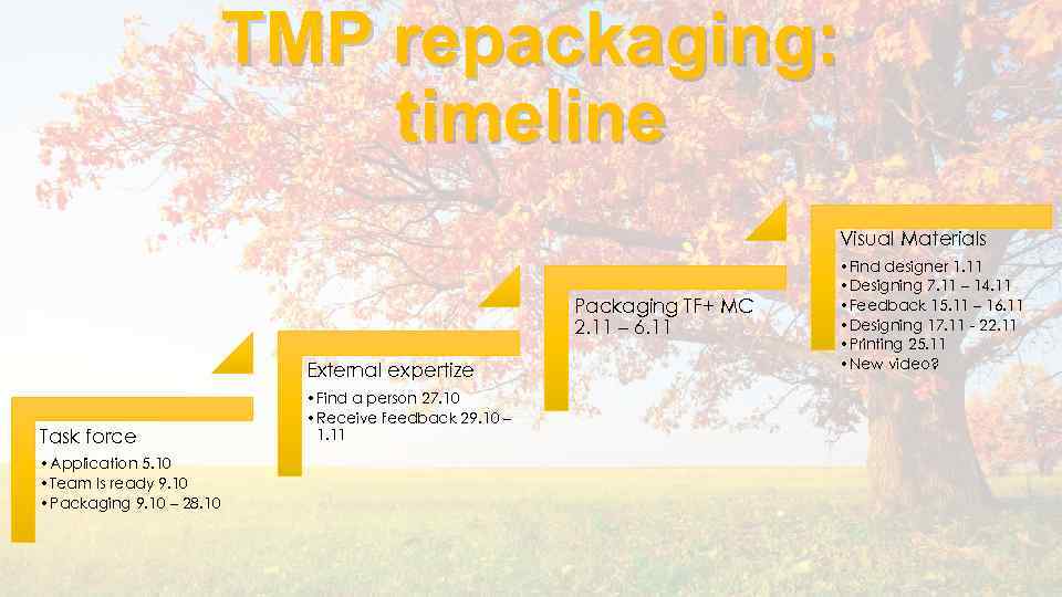 TMP repackaging: timeline Visual Materials Packaging TF+ MC 2. 11 – 6. 11 External