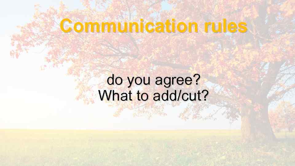 Communication rules do you agree? What to add/cut? 