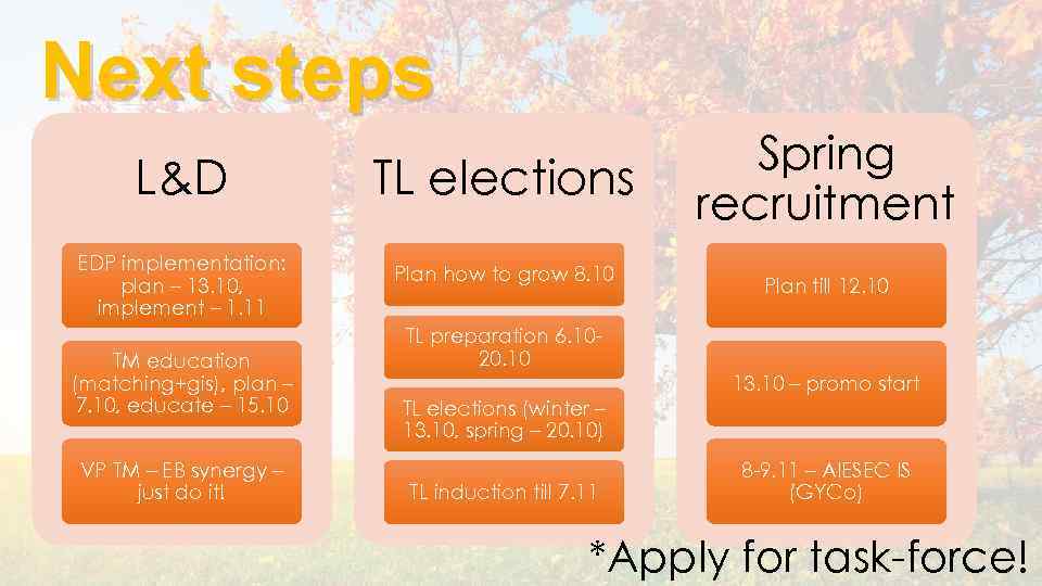 Next steps L&D EDP implementation: plan – 13. 10, implement – 1. 11 TM