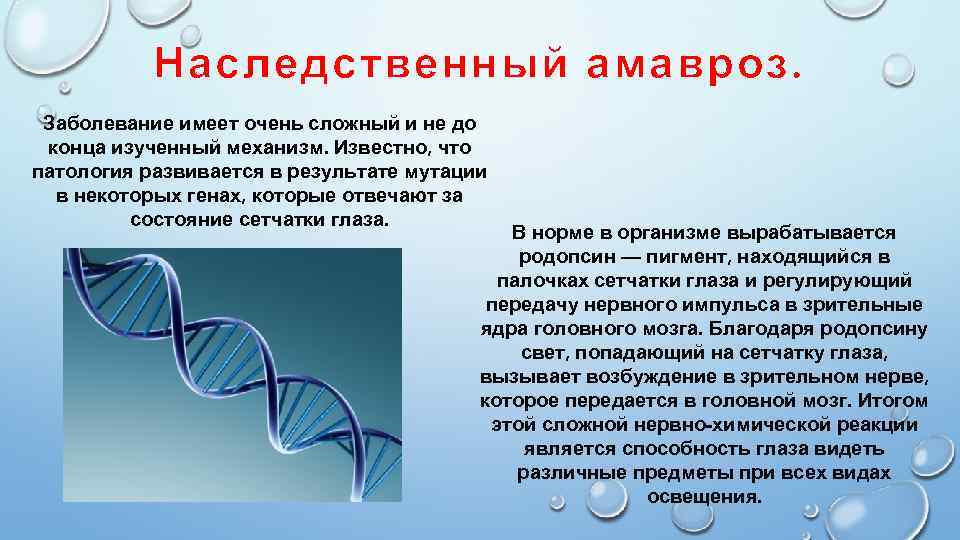 Очень имеет. Наследственные заболевания сетчатки. Амавроз возникает при поражении. Амавроз (слепота) возникает при:.