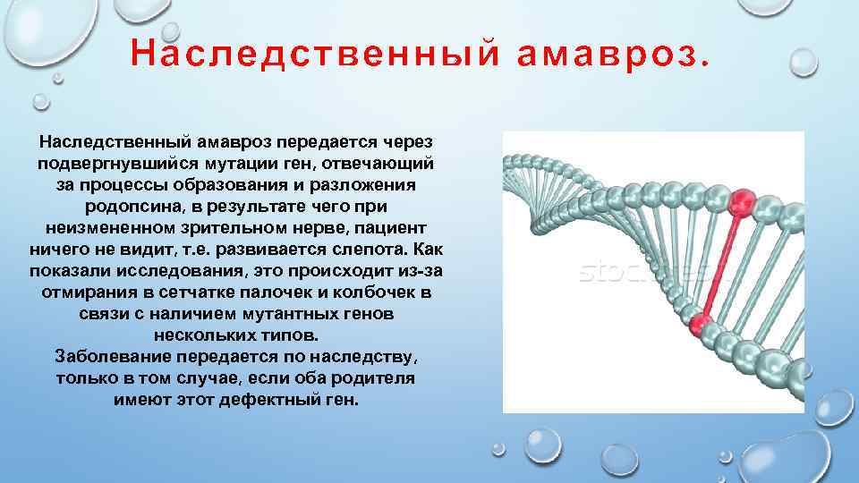 Наследственный амавроз передается через подвергнувшийся мутации ген, отвечающий за процессы образования и разложения родопсина,