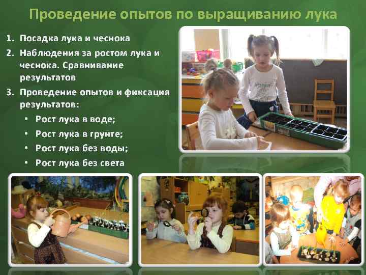 Проведение опытов по выращиванию лука 1. Посадка лука и чеснока 2. Наблюдения за ростом