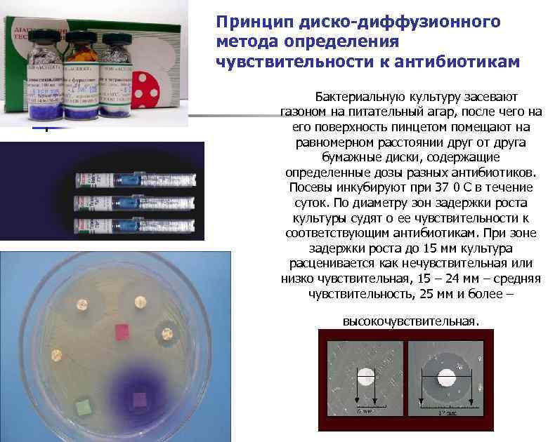 Принцип диско-диффузионного метода определения чувствительности к антибиотикам Бактериальную культуру засевают газоном на питательный агар,