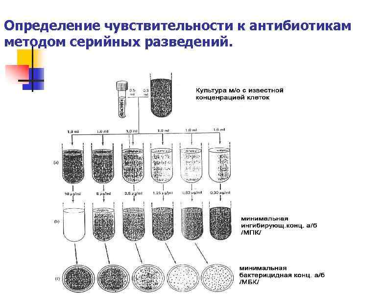 Определение чувствительности к антибиотикам методом серийных разведений. 