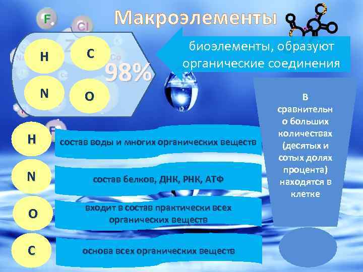 Макроэлементы H C N O 98% биоэлементы, образуют органические соединения В сравнительн о больших