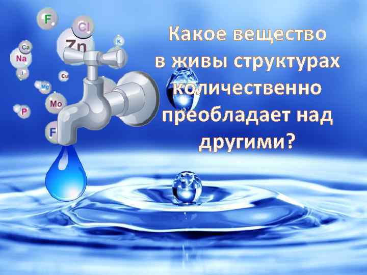 Какое вещество в живы структурах количественно преобладает над другими? 