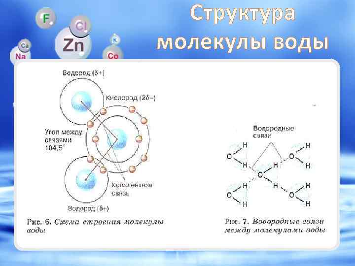 Структура жидкости