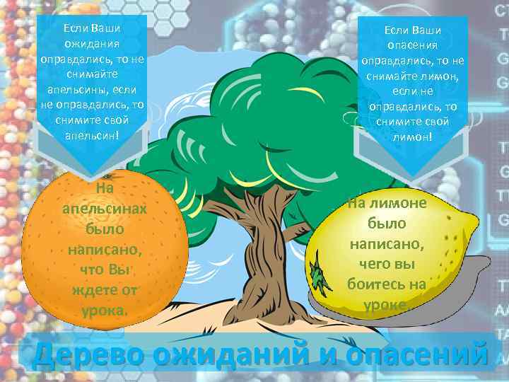 Если Ваши ожидания оправдались, то не снимайте апельсины, если не оправдались, то снимите свой