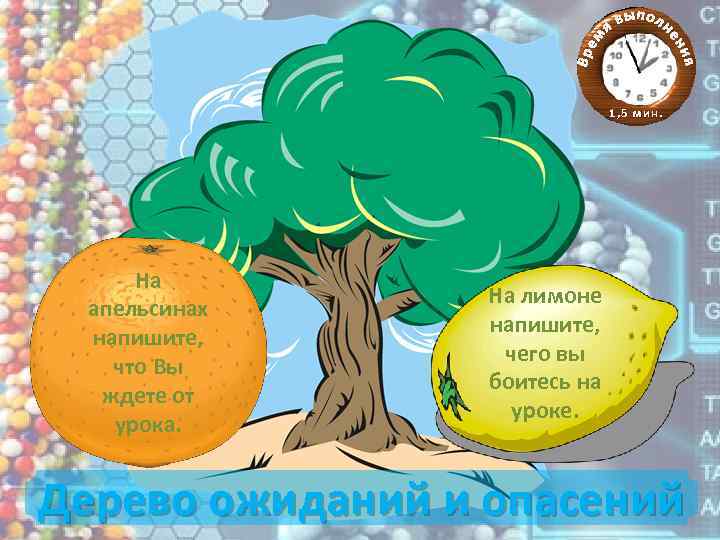 Пятьдесят семь лимонов. Дерево ожиданий. Дерево ожиданий рефлексия. "Дерево ожиданий"(видеоролик). Прием дерево ожиданий.