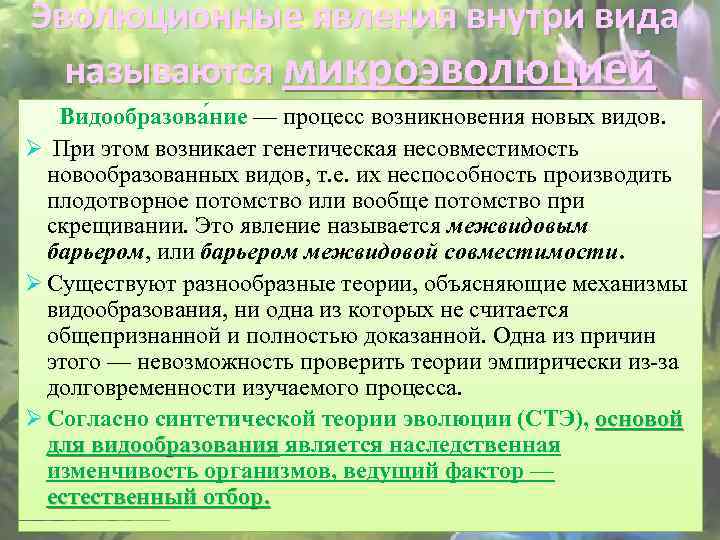 Эволюционные явления внутри вида называются микроэволюцией Видообразова ние — процесс возникновения новых видов. Ø