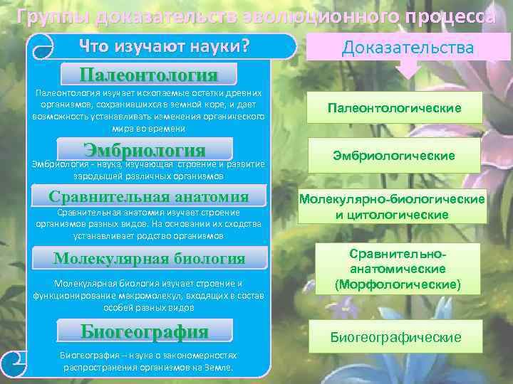 Группы доказательств эволюционного процесса Что изучают науки? Палеонтология изучает ископаемые остатки древних организмов, сохранившихся