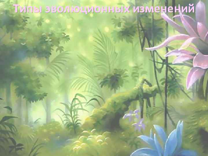 Типы эволюционных изменений 