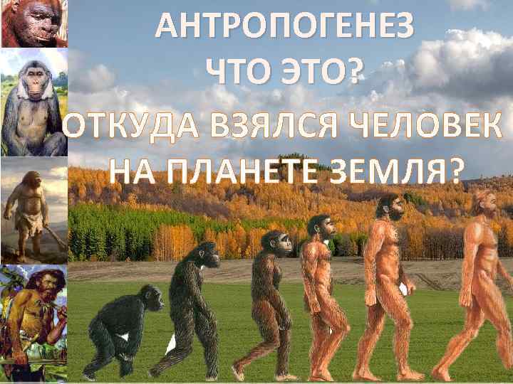 АНТРОПОГЕНЕЗ ЧТО ЭТО? ОТКУДА ВЗЯЛСЯ ЧЕЛОВЕК НА ПЛАНЕТЕ ЗЕМЛЯ? 