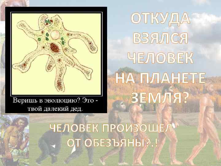 ОТКУДА ВЗЯЛСЯ ЧЕЛОВЕК НА ПЛАНЕТЕ ЗЕМЛЯ? ЧЕЛОВЕК ПРОИЗОШЕЛ ОТ ОБЕЗЪЯНЫ? . ! 