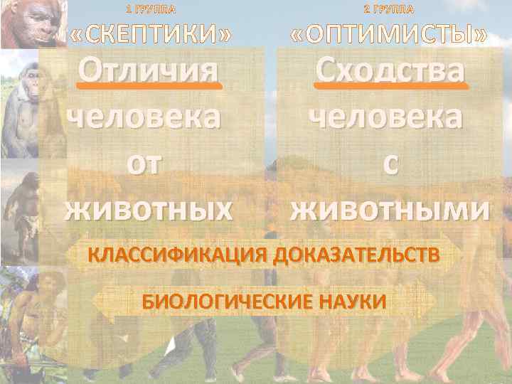 1 ГРУППА «СКЕПТИКИ» Отличия человека от животных 2 ГРУППА «ОПТИМИСТЫ» Сходства человека с животными