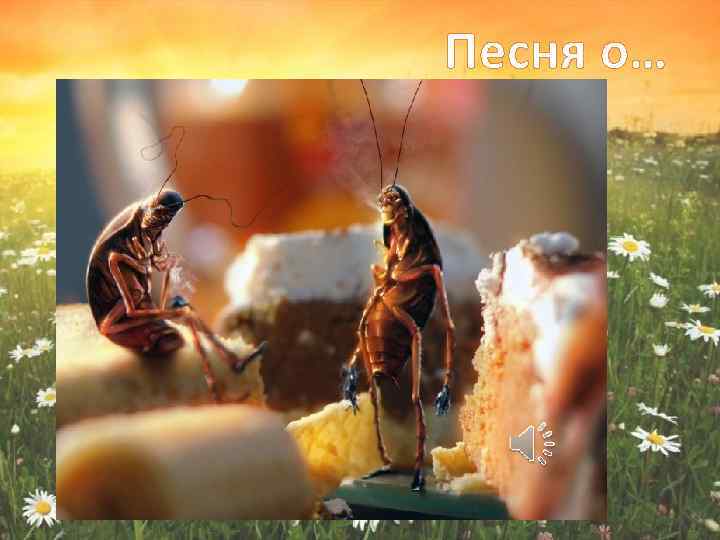 Песня о… 