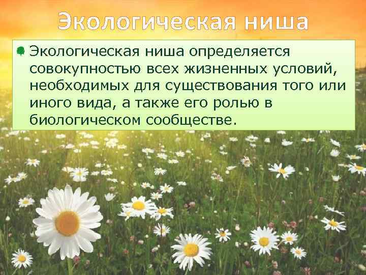 Экологическая ниша определяется совокупностью всех жизненных условий, необходимых для существования того или иного вида,