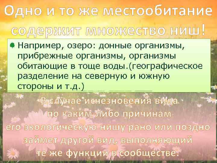 Одно и то же местообитание содержит множество ниш! Например, озеро: донные организмы, прибрежные организмы,