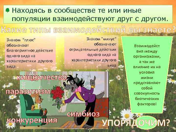Находясь в сообществе те или иные популяции взаимодействуют друг с другом. Какие типы взаимодействий