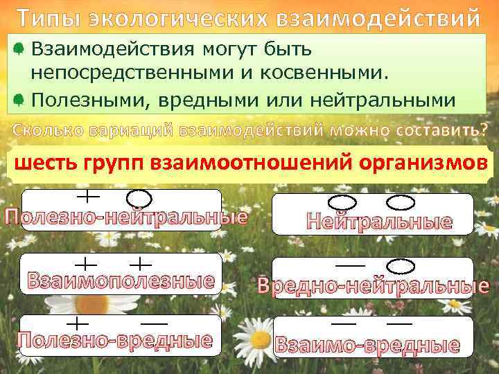 Экология взаимодействия. Виды экологических взаимодействий. Типы экологических взаимоотношений. Основные типы экологических взаимоотношений. Экологические взаимодействия организмов.