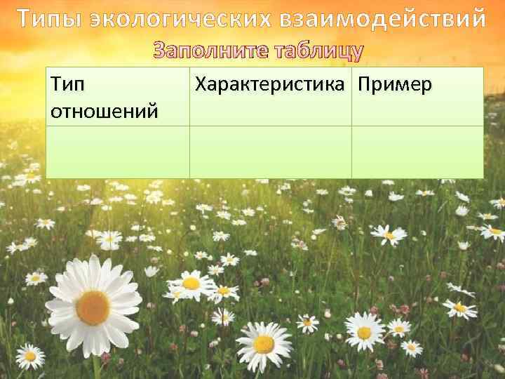 Типы экологических взаимодействий Заполните таблицу Тип отношений Характеристика Пример 