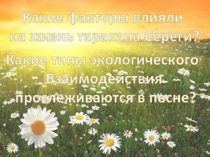 Какие факторы влияли на жизнь таракана Сереги? Какие типы экологического Взаимодействия прослеживаются в песне?