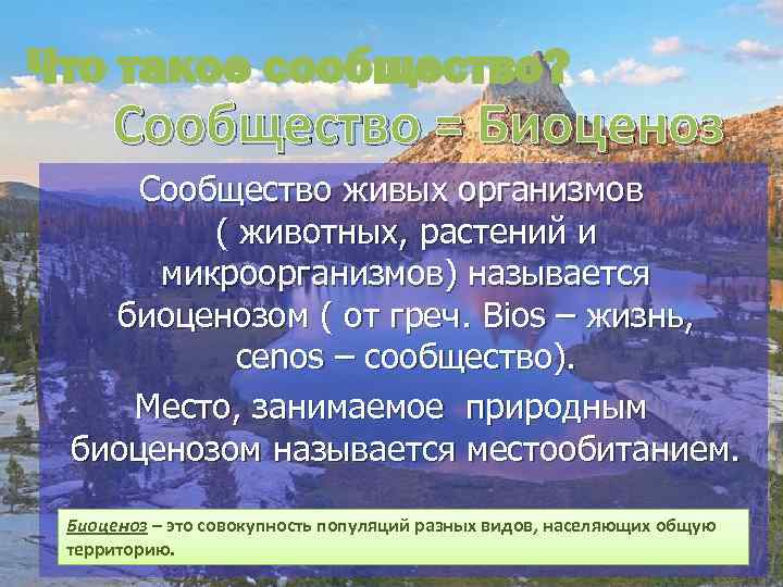 Что такое сообщество? Сообщество = Биоценоз Сообщество живых организмов ( животных, растений и микроорганизмов)