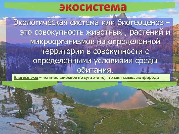 экосистема Экологическая система или биогеоценоз – это совокупность животных , растений и микроорганизмов на