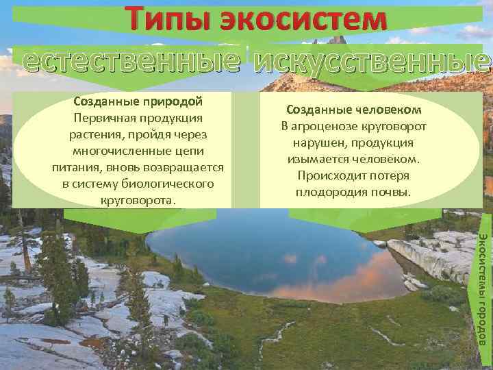 Типы экосистем естественные искусственные Созданные природой Первичная продукция растения, пройдя через многочисленные цепи питания,