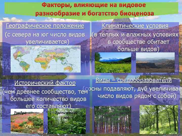 Природно климатические разнообразия россии