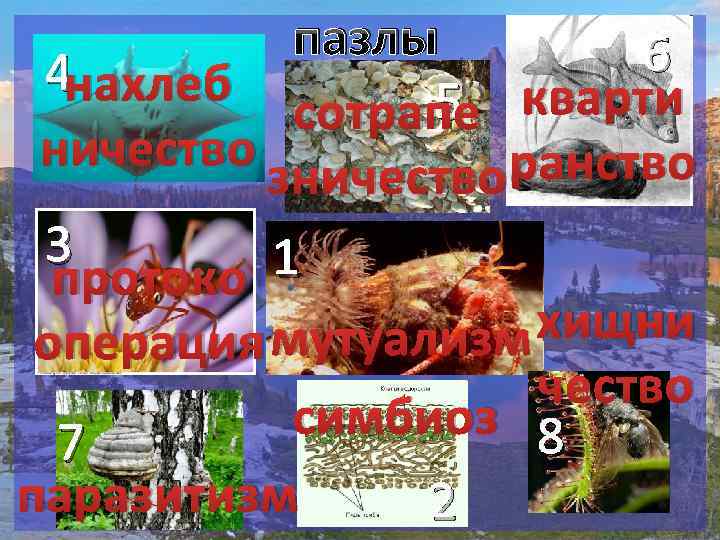 пазлы 6 4 нахлеб 5 кварти сотрапе ничество ранство зничество 3 1 протоко хищни