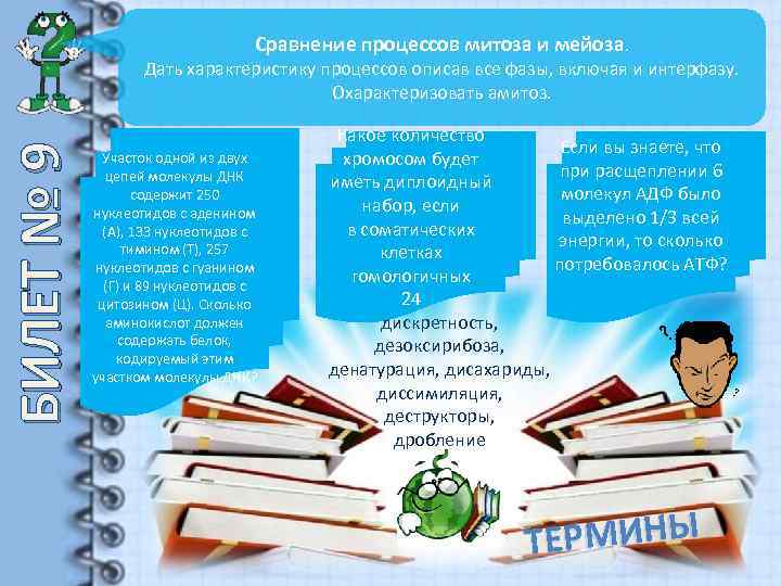 Сравнение процессов митоза и мейоза. БИЛЕТ № 9 Дать характеристику процессов описав все фазы,