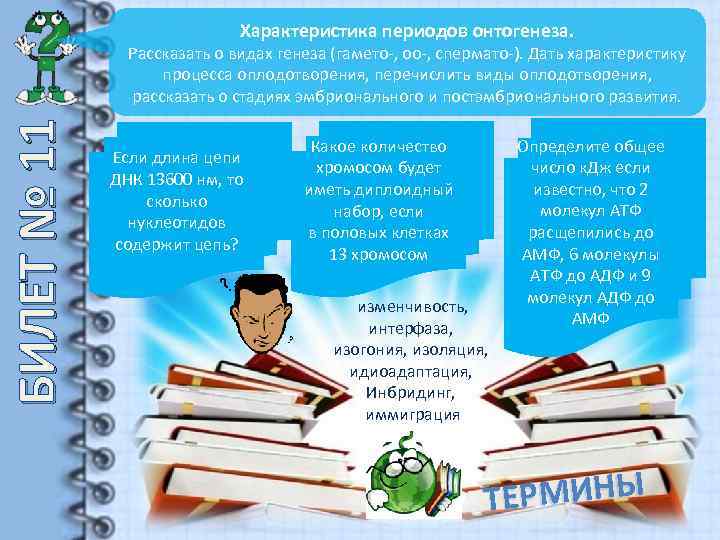 Характеристика периодов онтогенеза. БИЛЕТ № 11 Рассказать о видах генеза (гамето-, оо-, спермато-). Дать