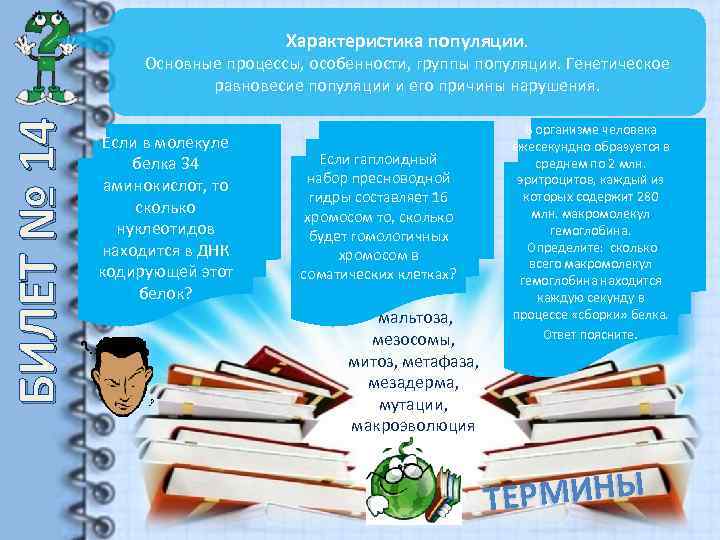 Характеристика популяции. БИЛЕТ № 14 Основные процессы, особенности, группы популяции. Генетическое равновесие популяции и