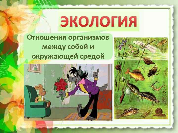 ЭКОЛОГИЯ Отношения организмов между собой и окружающей средой 