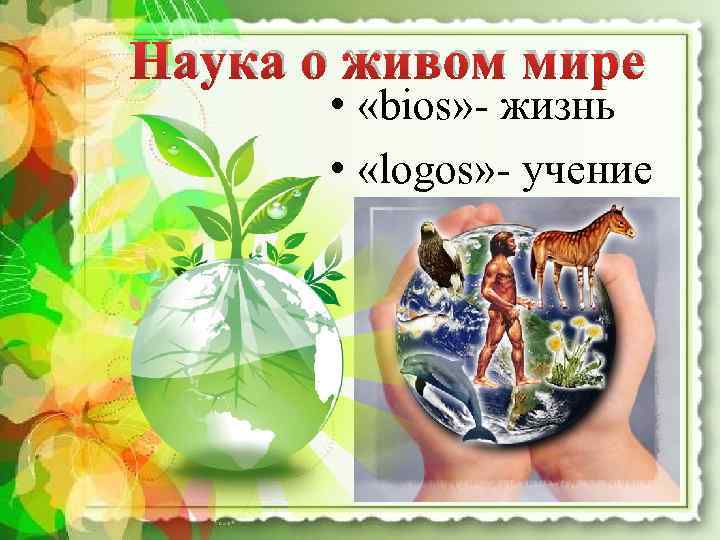 Наука о живом мире • «bios» - жизнь • «logos» - учение 