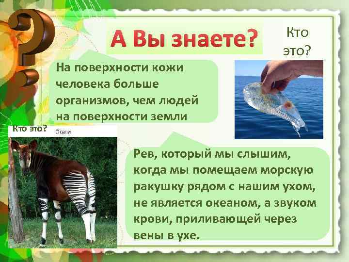 А Вы знаете? Кто это? На поверхности кожи человека больше организмов, чем людей на