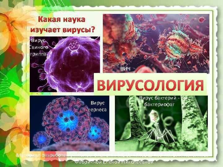 Проблемы вирусологии презентация