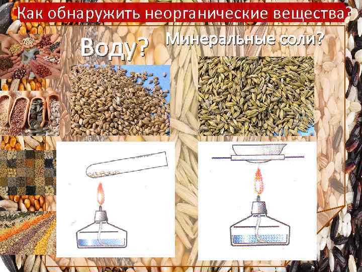 Как обнаружить неорганические вещества? Минеральные соли? Воду? 